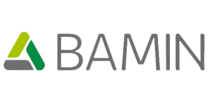 BAM